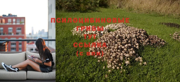 скорость mdpv Бородино
