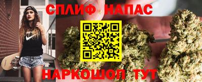 не бодяженный Гатчина
