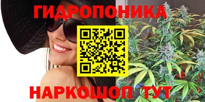 винт Гай