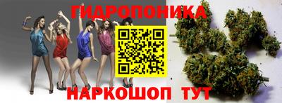 не бодяженный Гатчина