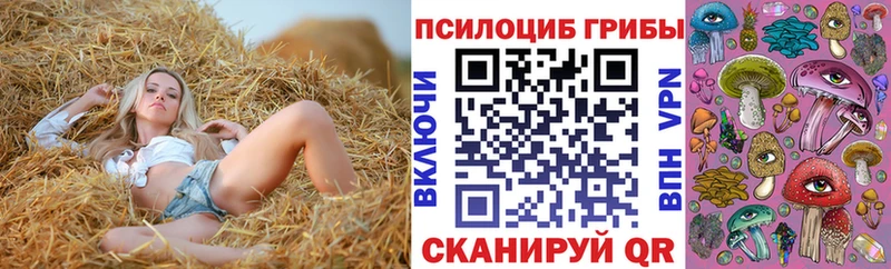 kraken рабочий сайт  Гулькевичи  Галлюциногенные грибы мухоморы 