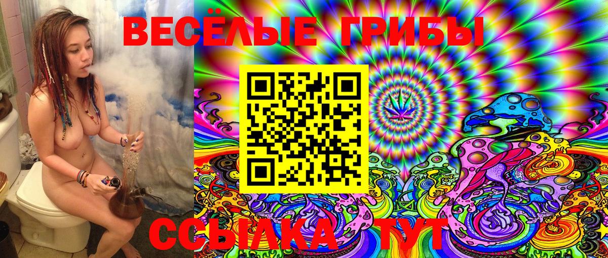 Псилоцибиновые грибы Magic Shrooms  Псилоцибиновые грибы Cubensis  купить закладку  Гулькевичи 